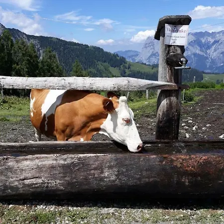 Feriehus Chalet Christl Mühlbach am Hochkönig