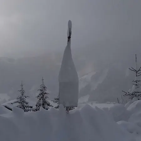 Feriehus Chalet Christl Mühlbach am Hochkönig